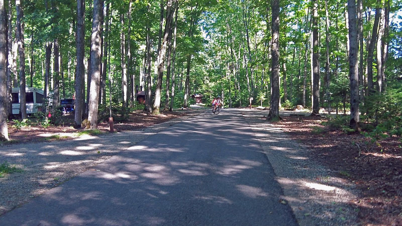 the road in petes lake campground